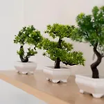 Il Bonsai Apartament
