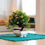 Il Bonsai Apartament Rapallo