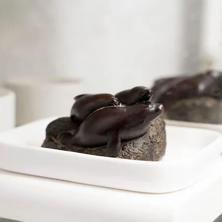 Il Bonsai شقة *
