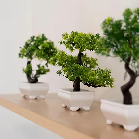 Il Bonsai شقة