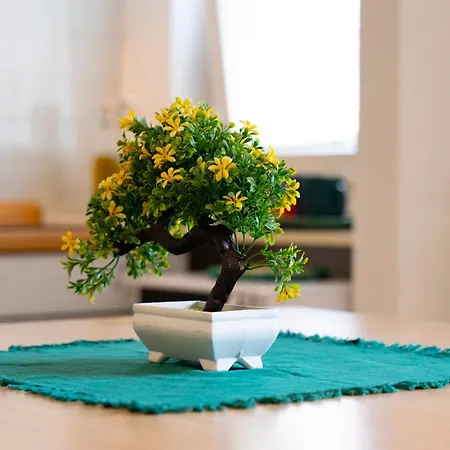 Il Bonsai شقة راباللو
