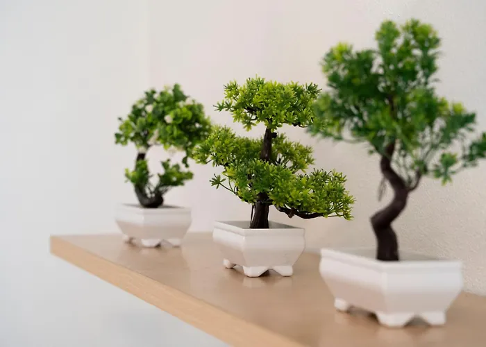 Il Bonsai Apartamento